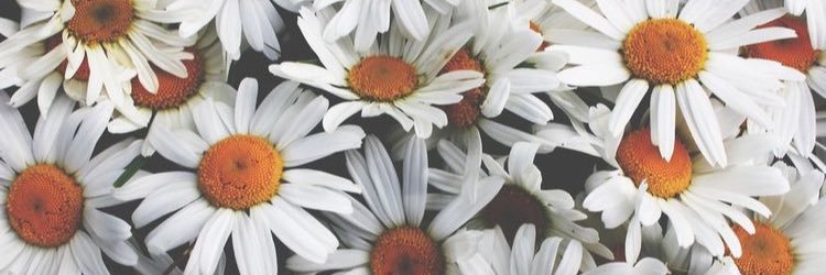 eesterfarre's profile banner image
