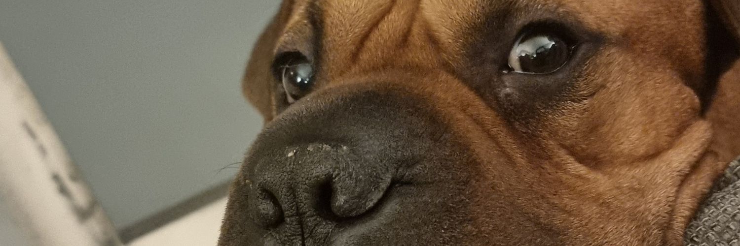 Con_Stephenson's profile banner image