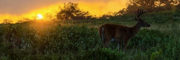 ODUHunting Profile Banner