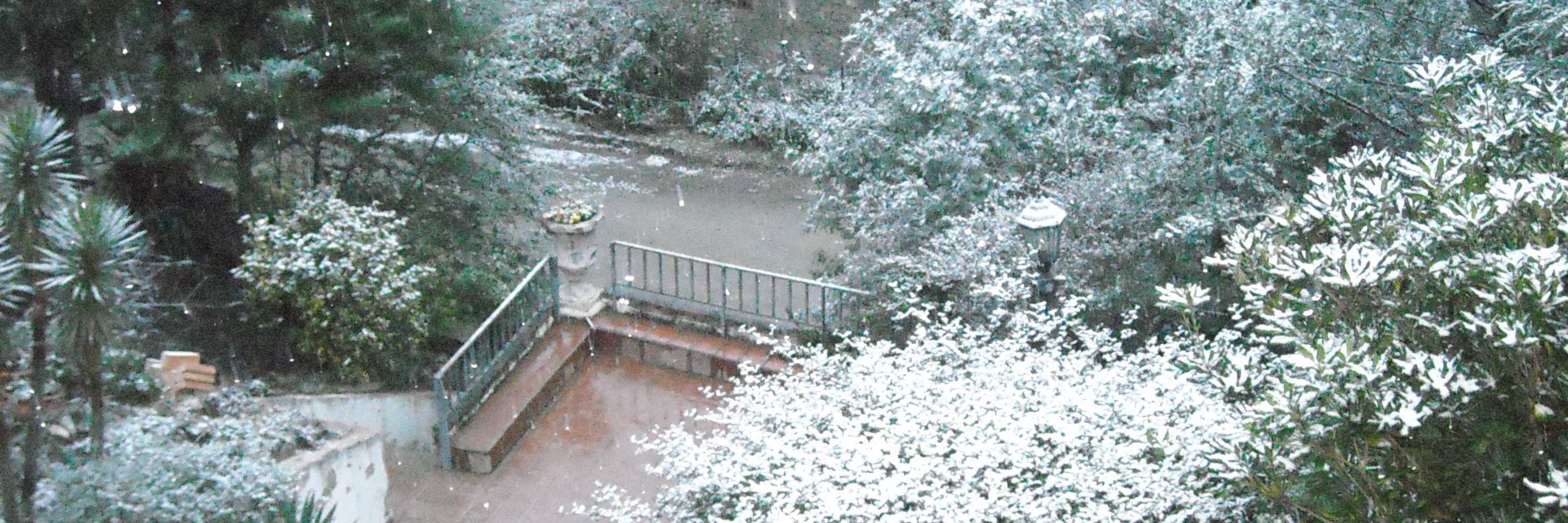 Alicia rinaudo banner