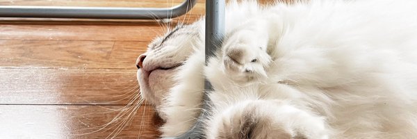 WalidsIbrahim Profile Banner