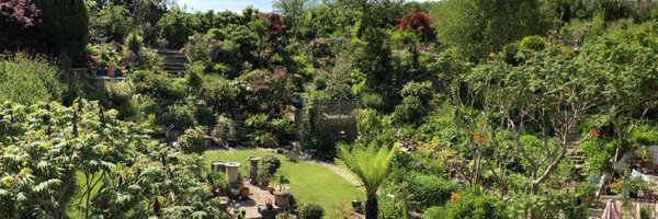 Stephen_Fitton Profile Banner