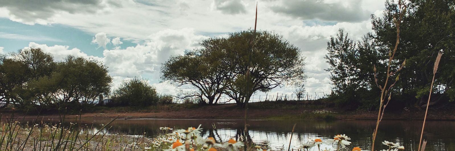 BrenWilliams_'s profile banner image