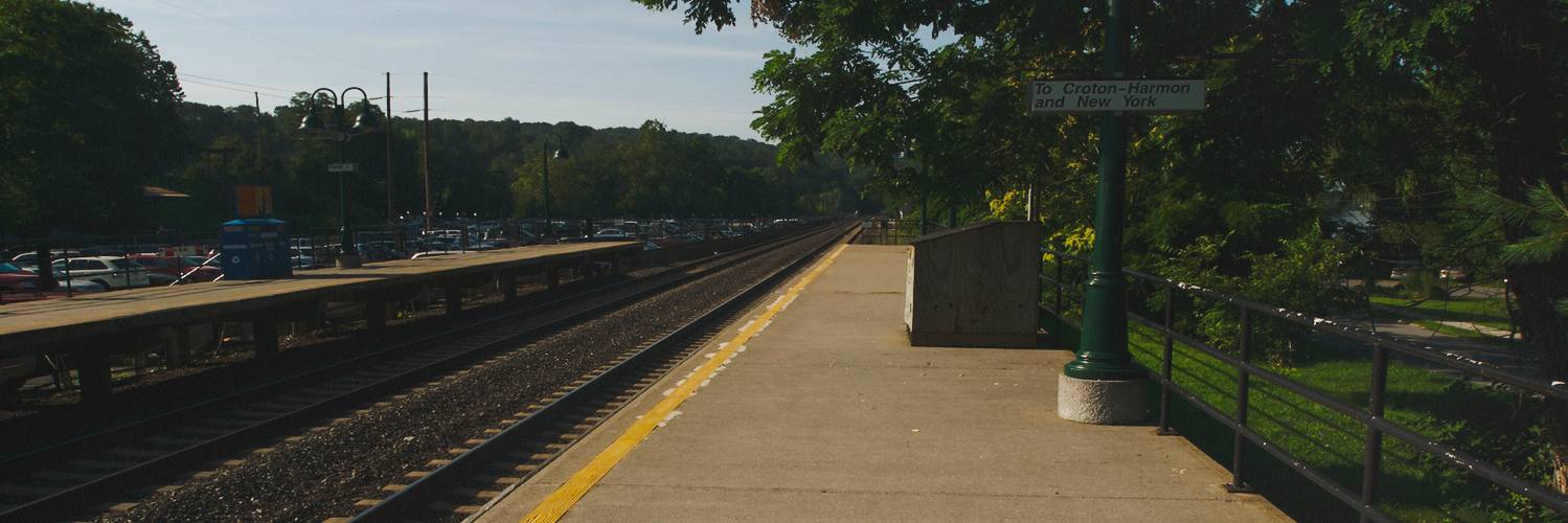 ricky banner