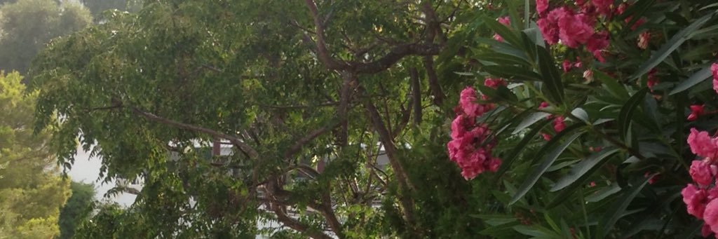 DanCoulson2's profile banner image
