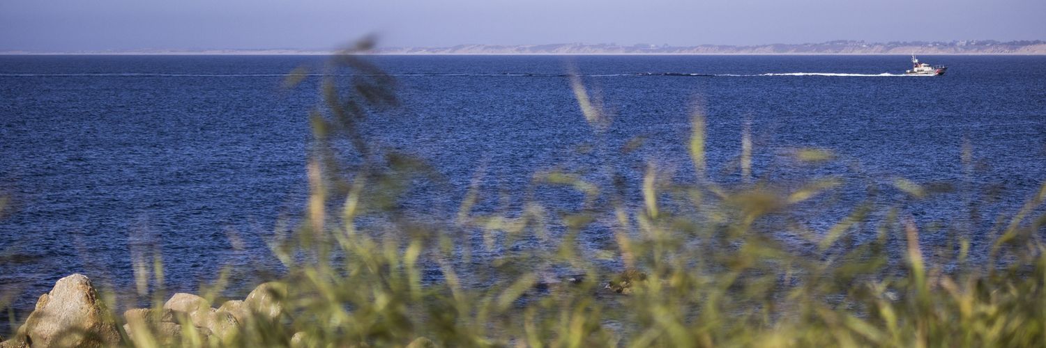 AheeJacob's profile banner image