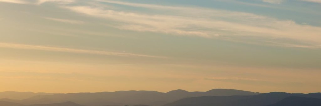 Dorothy P. 🇺🇦 banner