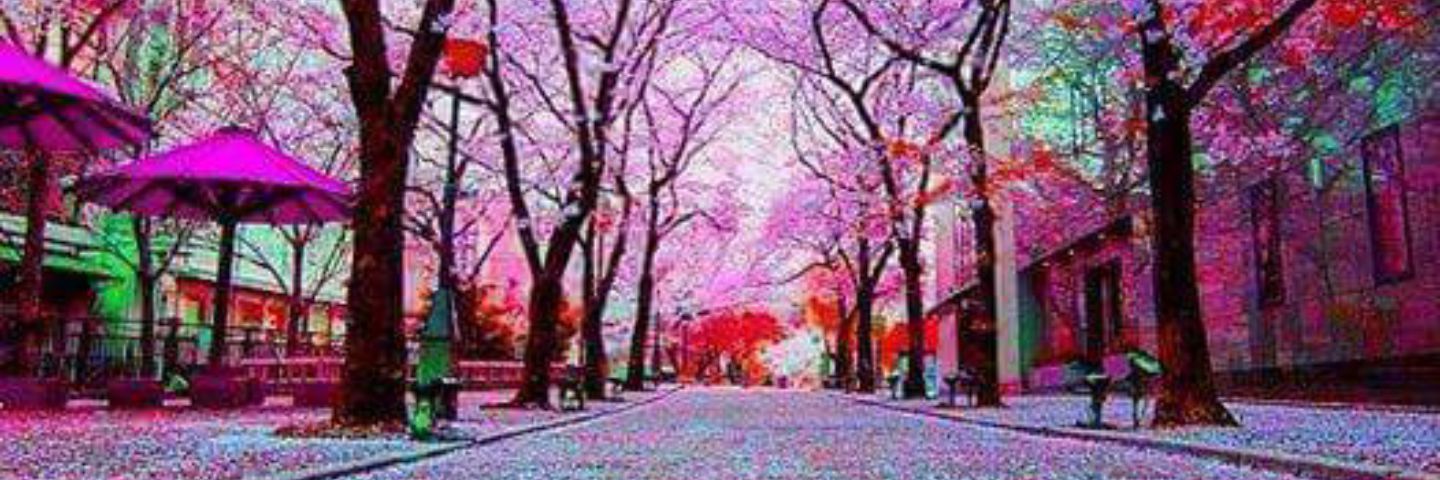 daliia_11's profile banner image