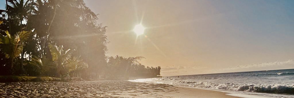 ernestsm's profile banner image