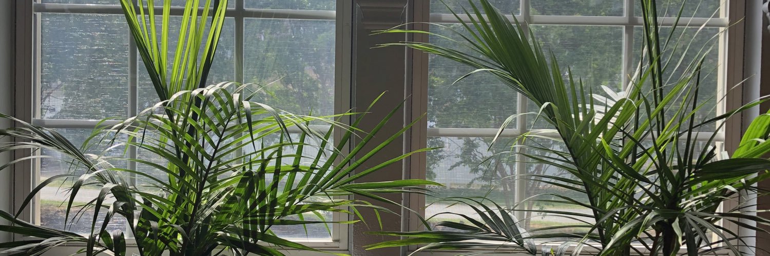 devilnherletuce's profile banner image