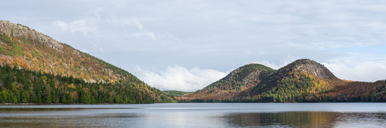 Philip J. Ball banner