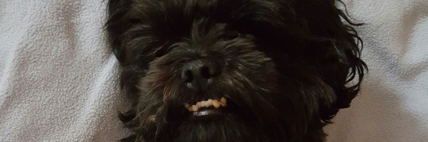 dallasbrady's profile banner image