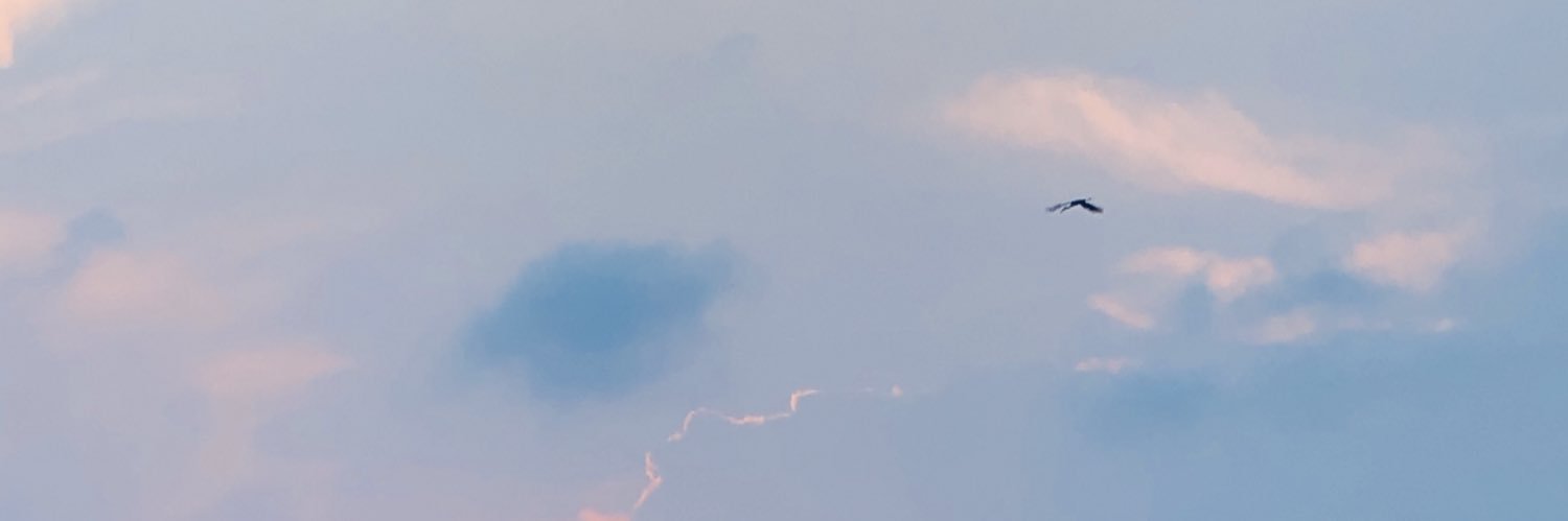 gnchaaaa_1's profile banner image