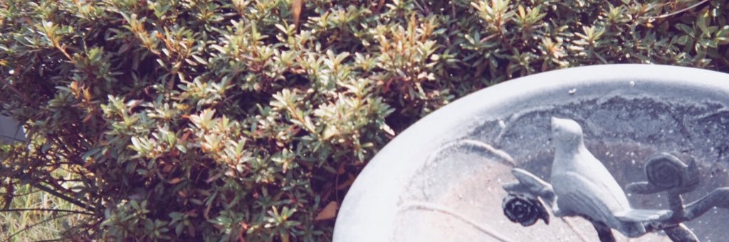 light5401's profile banner image