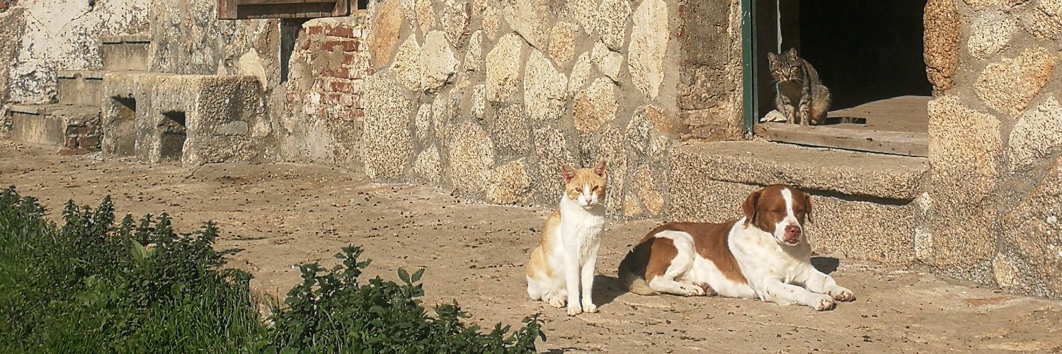 FelixMerideno's profile banner image