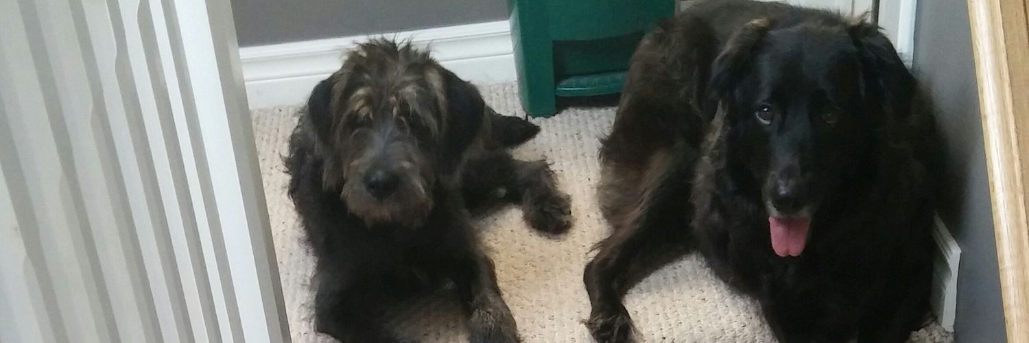 Jake Gramigna banner