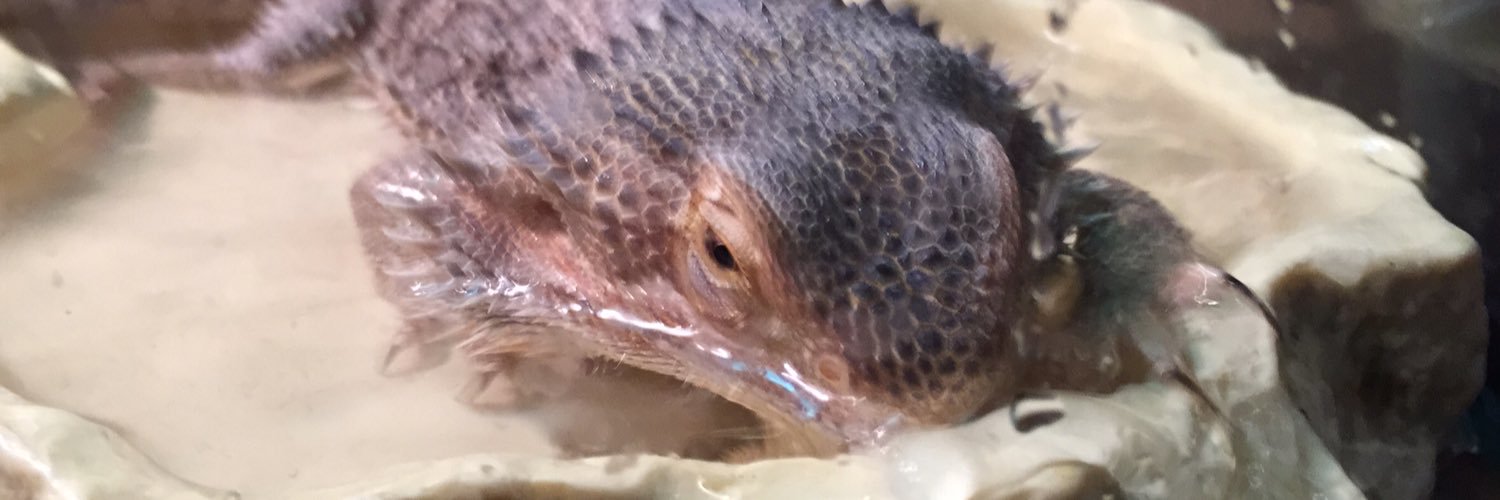 MaranoR111's profile banner image