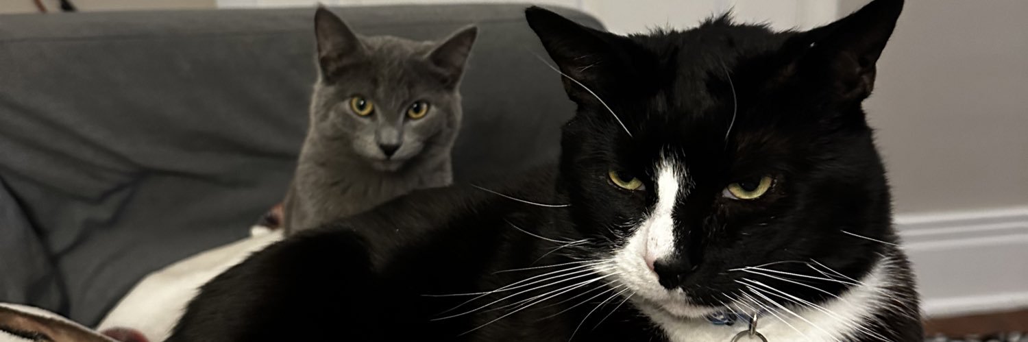 jamieclarksn's profile banner image