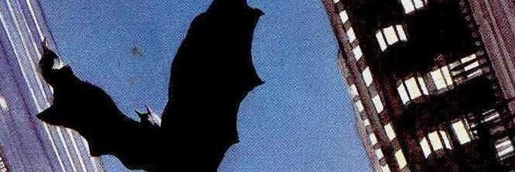 manuelgomezva's profile banner image