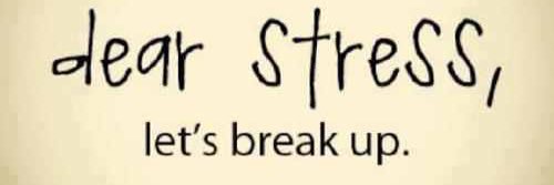 DdollSweets's profile banner image