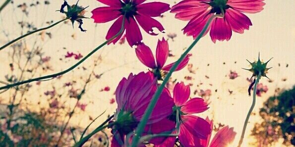 Hajar..♡ banner