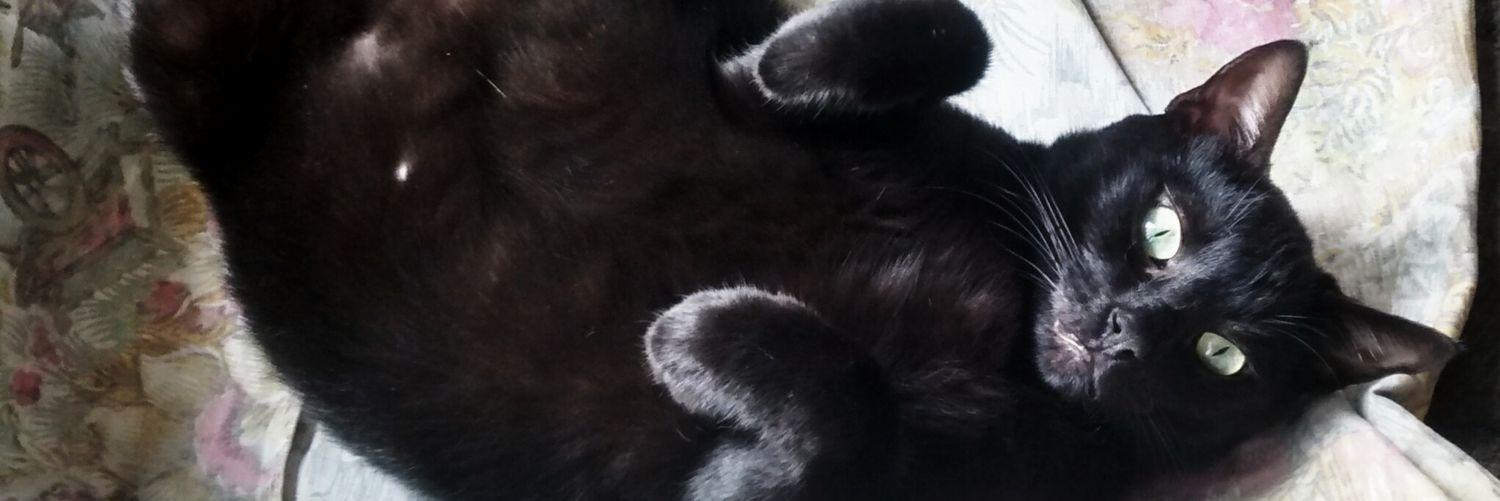 Lorena_AON's profile banner image