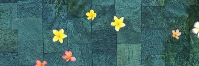 HannahBrett8's profile banner image