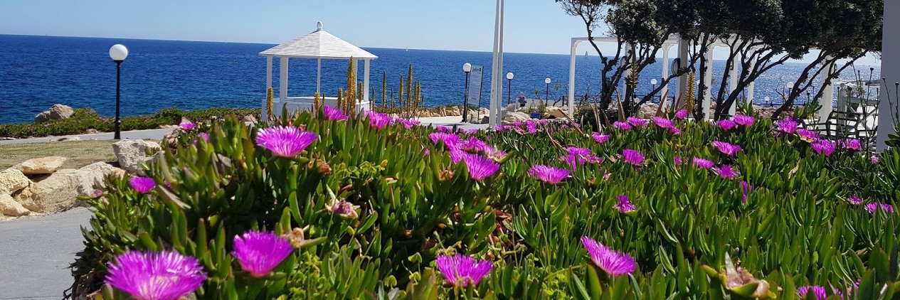 Milos Grubjesic banner