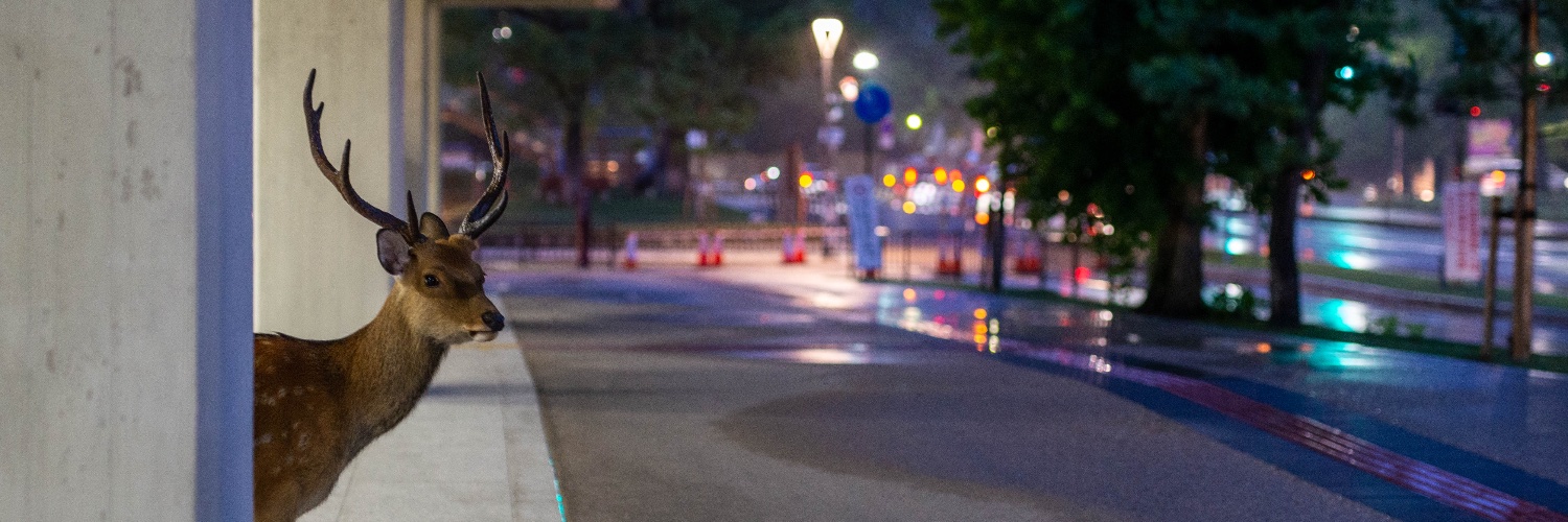 Clément Varanges banner