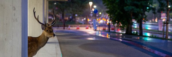 cvaranges Profile Banner