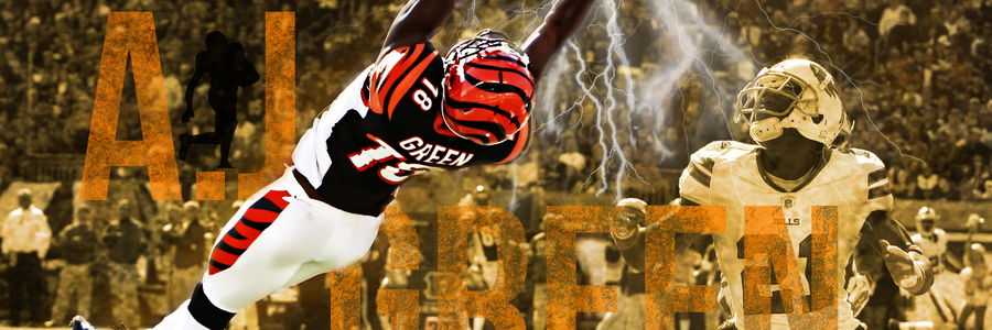 schwarzie_'s profile banner image