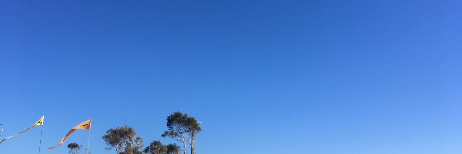 Arayis's profile banner image
