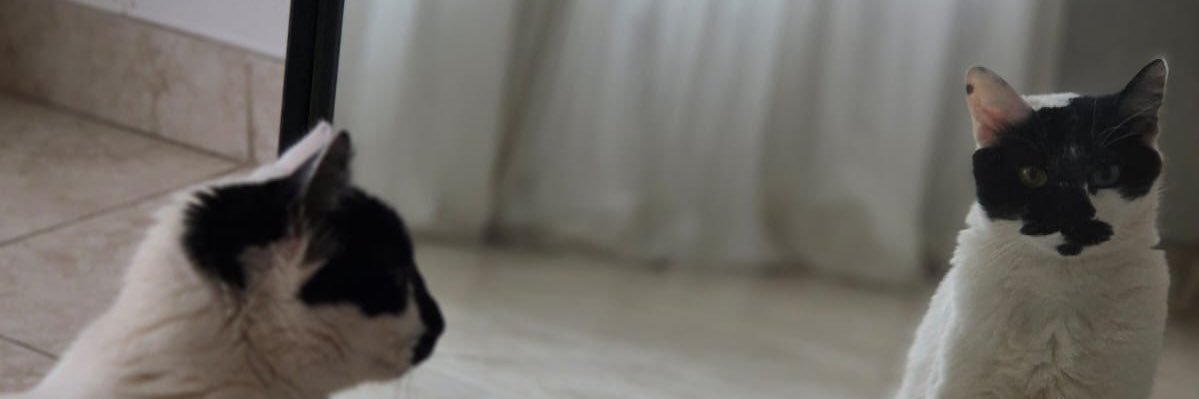MartinFredes9's profile banner image
