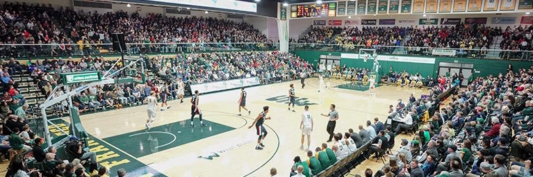 Chris Gerlufsen banner