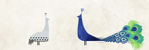 SaintPetersRHA's profile banner image