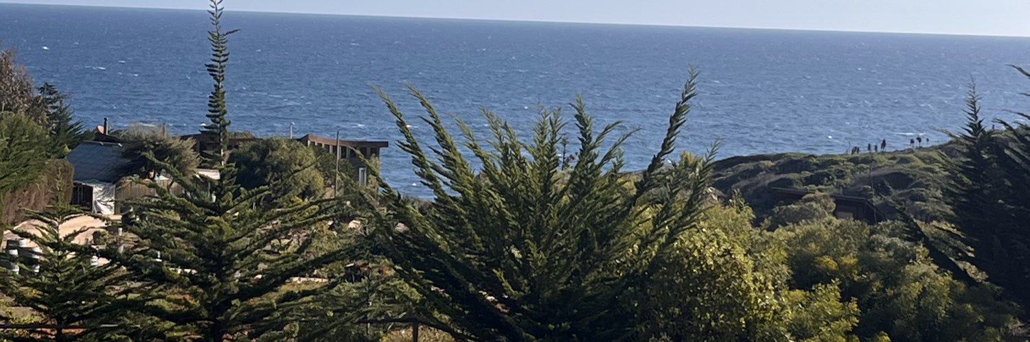 Frutillita Punk banner