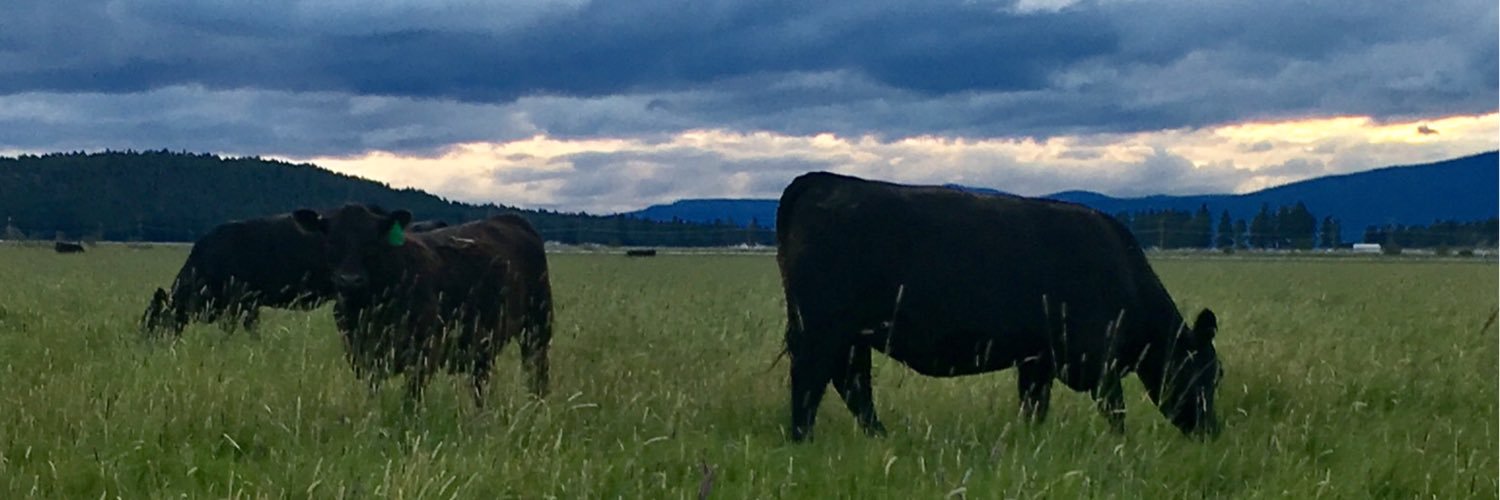 txbargrassfed's profile banner image