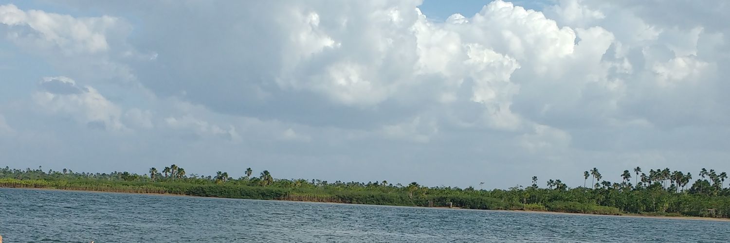 Rafahveiga's profile banner image