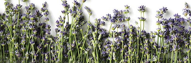 SundanceSalonSp's profile banner image
