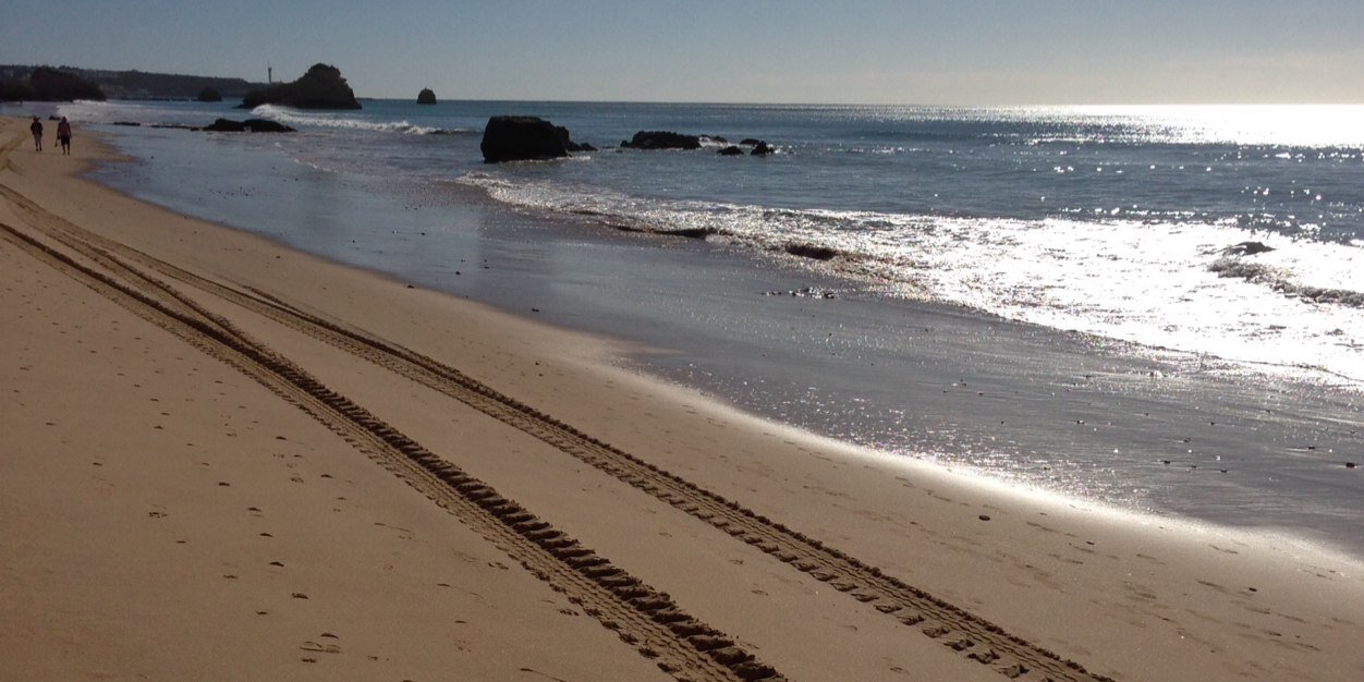  AGP city  banner