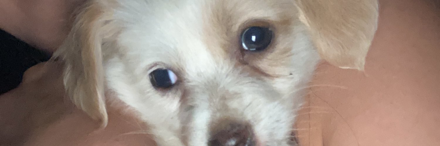 EcemTasarr's profile banner image