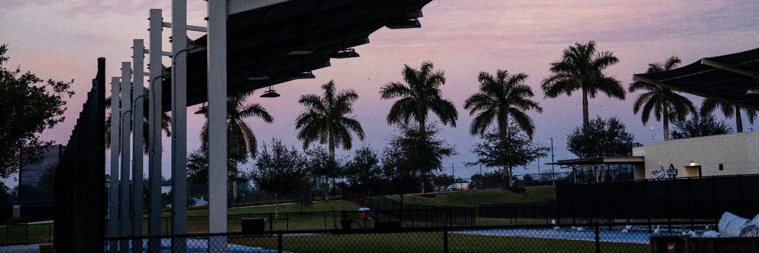 Washington Nationals banner