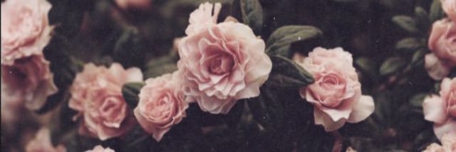MeghanAnneTara's profile banner image