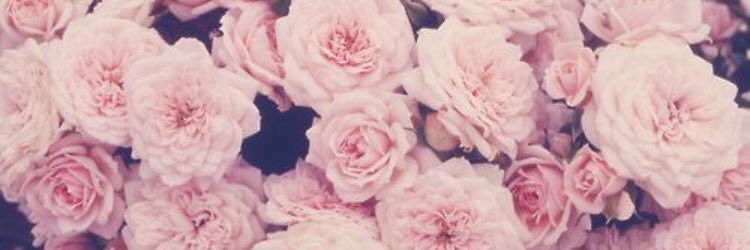 abbijox's profile banner image