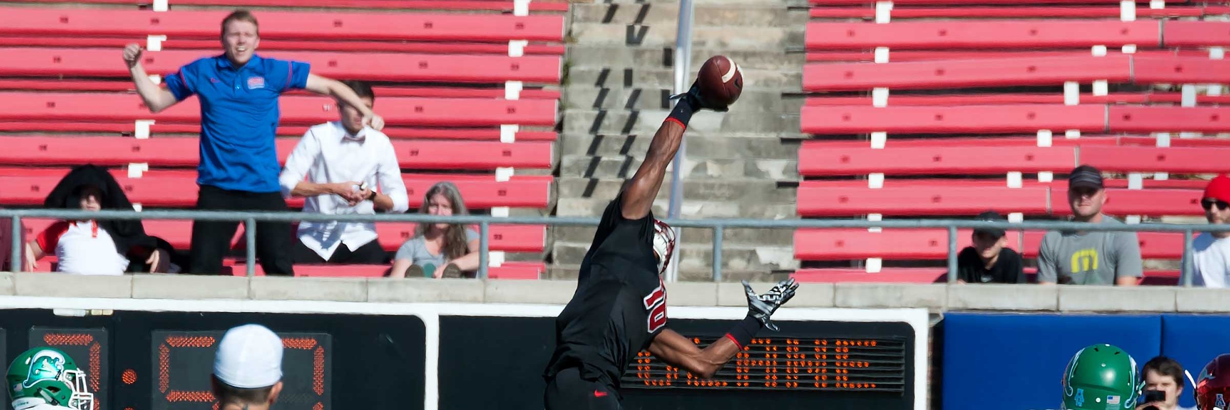 Douglas Fejer banner