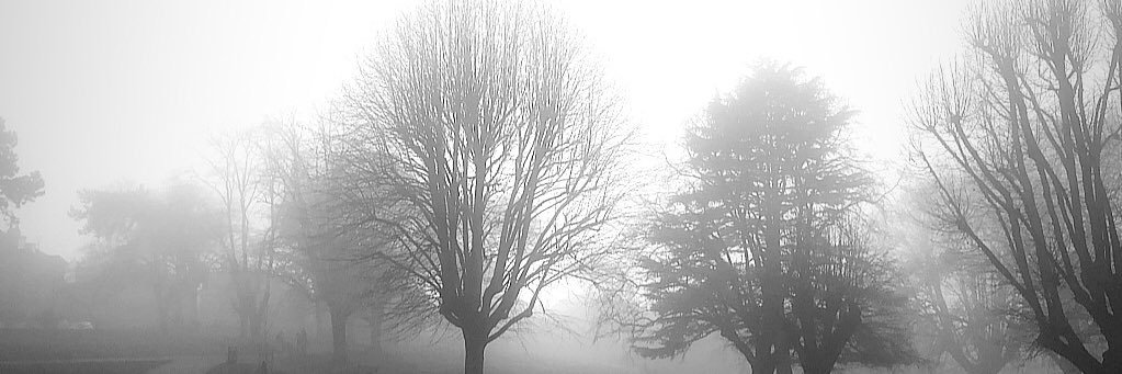 lizzyfreundel's profile banner image