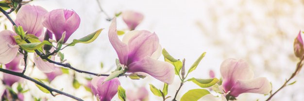 estherbaee's profile banner image