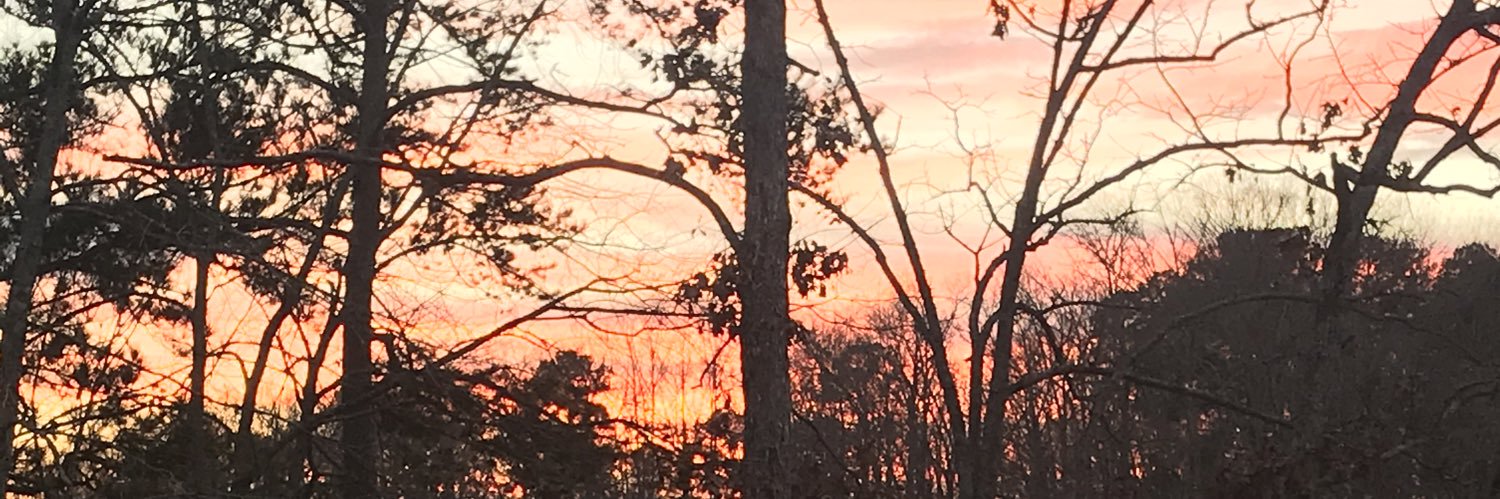 Danielle Smith banner