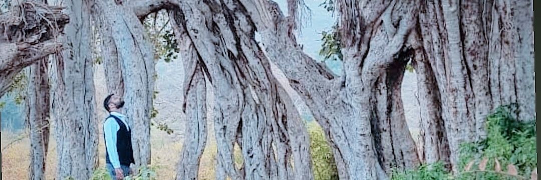 vakeelsahib's profile banner image