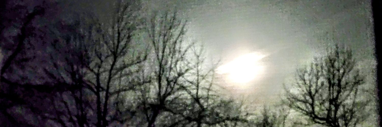 DebbieBlake1117's profile banner image